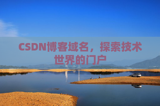 CSDN博客域名，探索技术世界的门户